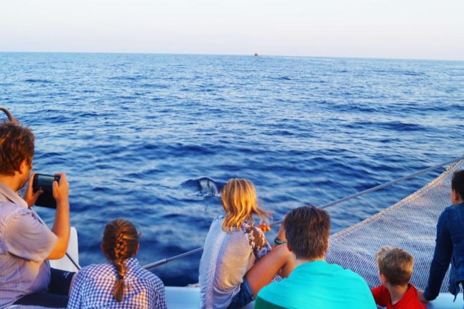 Sunrise Boat Trip in Mallorca with Dolphin-Watching - Finding dolphins in open water