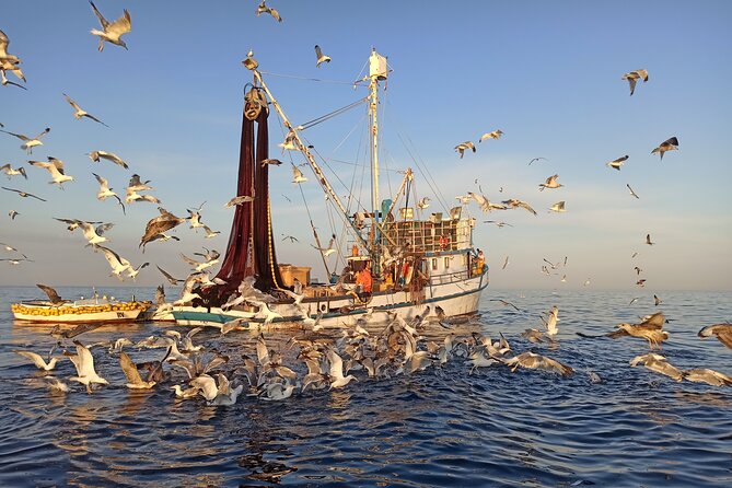 Sunrise Dolphins & Fishermen at Work speedboat tour in Rovinj - Is $93.45 a fair price?