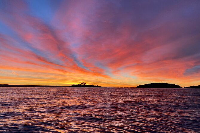 Sunrise Dolphins & Fishermen at Work speedboat tour in Rovinj - Weather, cancellations, and the dolphin guarantee