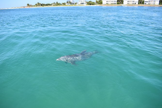 Sunset and Dolphin Cruise around Fort Myers Beach - Sunset from San Carlos Bay