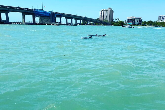 Sunset and Dolphin Cruise around Fort Myers Beach - A private boat with room for your own style