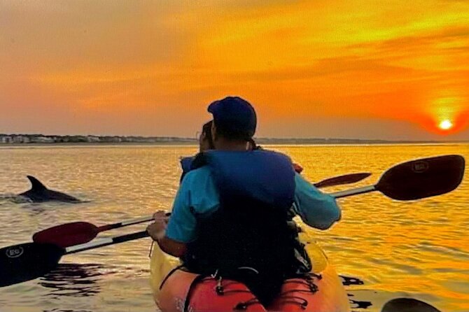 Sunset Bioluminescent Comb Jelly & Dolphin Tour - Key things to know before you book