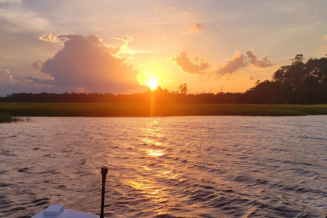 Sunset, Dolphin/Birding On A Private Guided Savannah Cruise - Watching dolphins in the tidal waterways