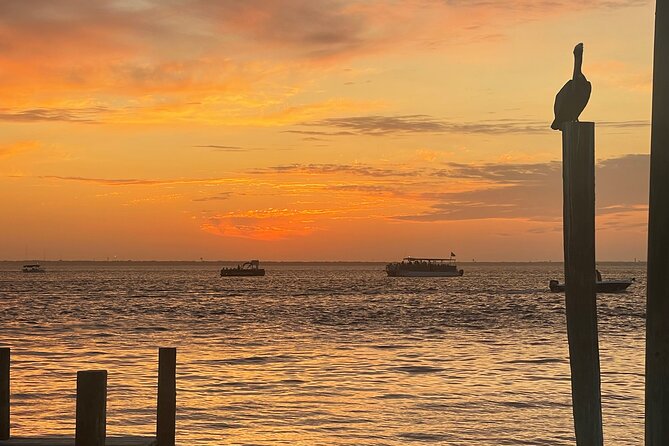 Sunset Dolphin Cruise - Practical details that can change your evening