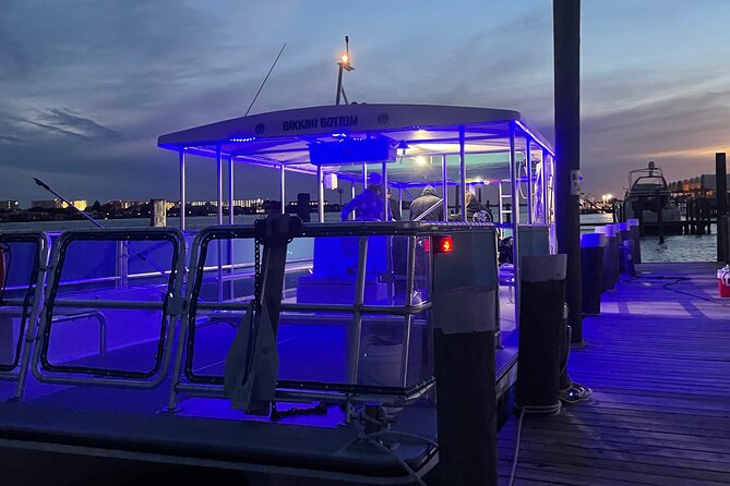 Sunset Dolphin Cruise - Should you book the Sunset Dolphin Cruise?