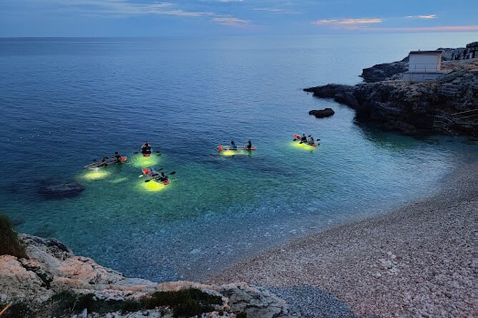 Sunset Dolphin Cruise in Brijuni National Park from Pula - Sunset, food, and the return to Pula