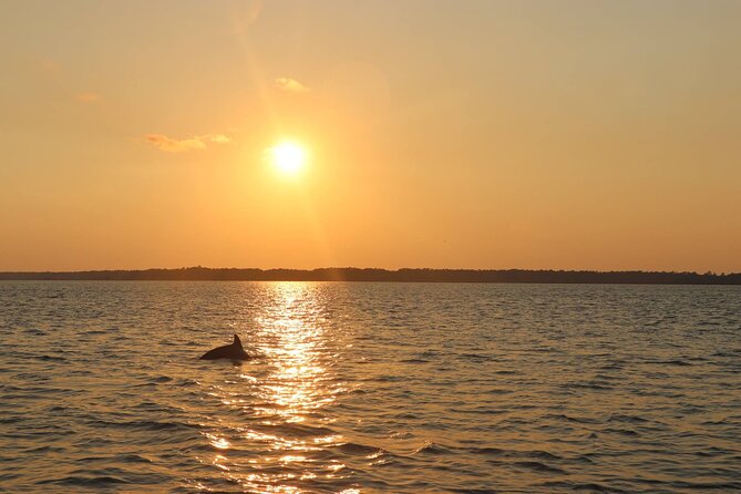 Sunset Dolphin Cruise in Hilton Head - Out toward the Calibogue Sound