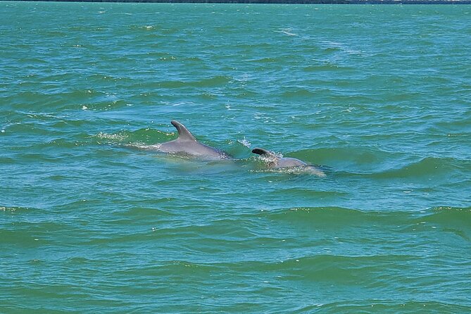 Sunset Dolphin Cruise with Sanibel Lighthouse Views - Why this 90-minute cruise works well at sunset