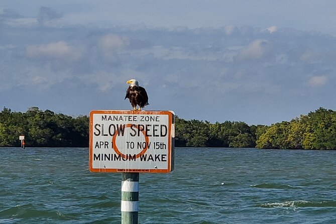 Sunset Dolphin Cruise with Sanibel Lighthouse Views - Passing the Shrimp Boat Fleet