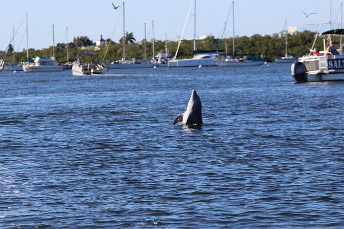 Sunset Dolphin Cruise with Sanibel Lighthouse Views - Seeing 2,000 years of history at Mound House