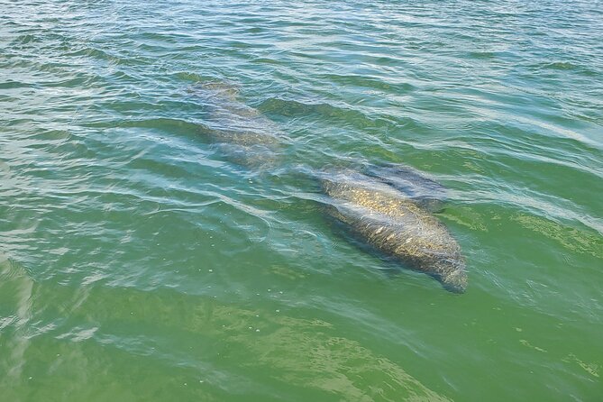 Sunset Dolphin Cruise with Sanibel Lighthouse Views - Leaving Harbor Court with a drink in hand