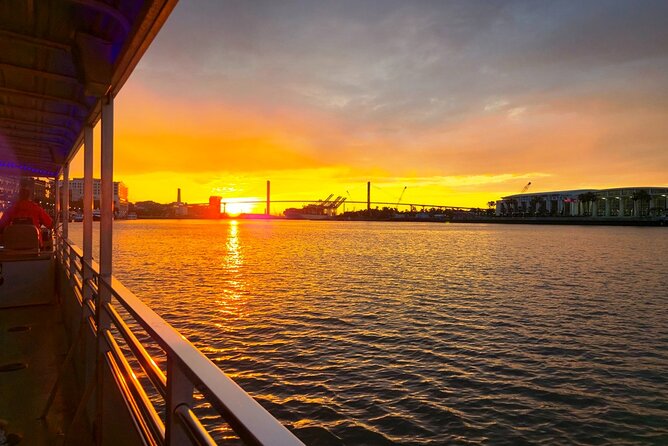 Sunset Dolphin Eco Tour - A two-hour view of Savannah’s living river