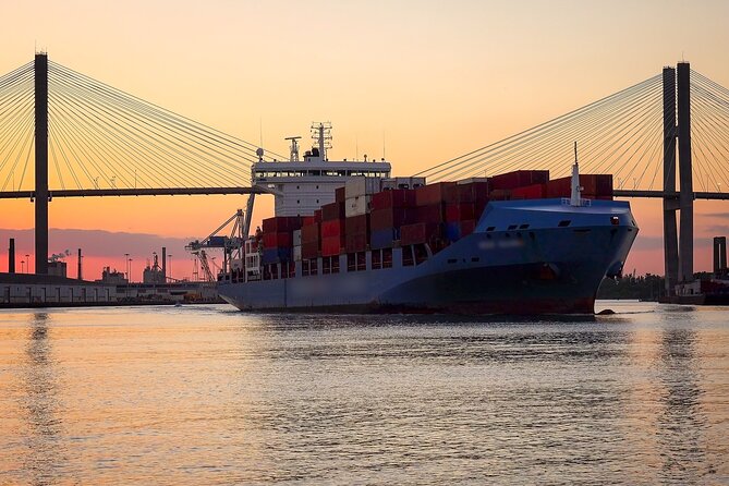 Sunset Dolphin Eco Tour - Who will enjoy this Savannah cruise