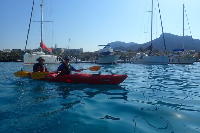 Sunset Dolphin Kayak Tour at Golfo Aranci - From Via Libertà to Isola di Figarolo