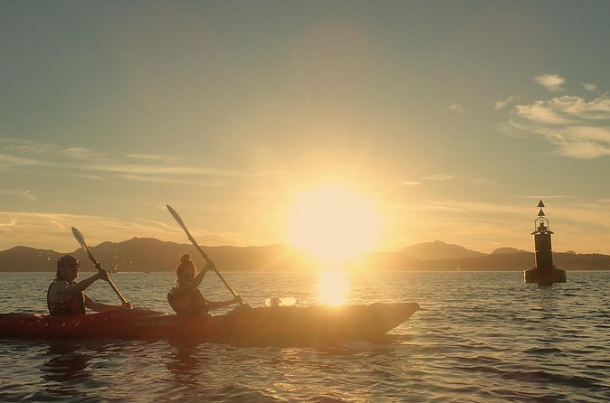 Sunset Dolphin Kayak Tour at Golfo Aranci - Sunset timing and dolphin etiquette