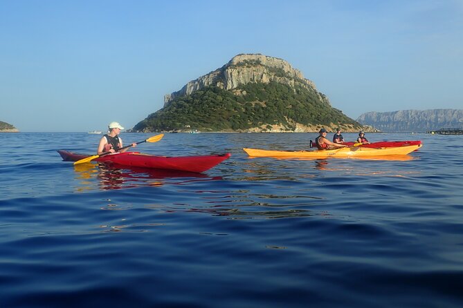 Sunset Dolphin Kayak Tour at Golfo Aranci - What the $63.61 price includes