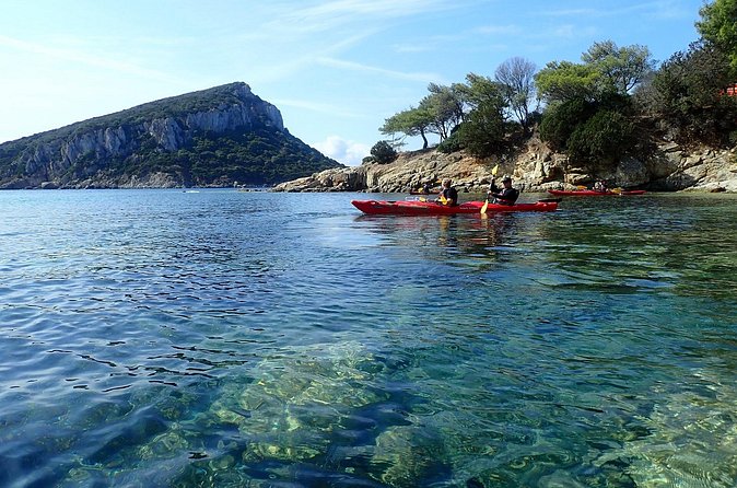 Sunset Dolphin Kayak Tour at Golfo Aranci - Weather, cancellation, and planning tips