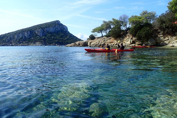 Sunset Dolphin Kayak Tour at Golfo Aranci - A gentle introduction to sea kayaking