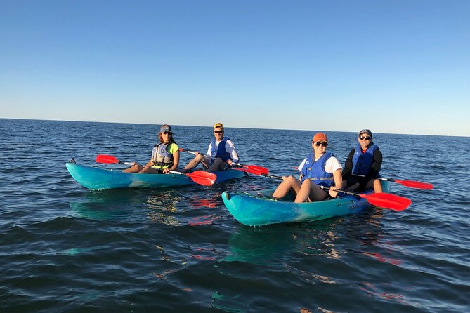 Sunset Dolphin Kayak Tours - Weather, cancellations, and timing matter
