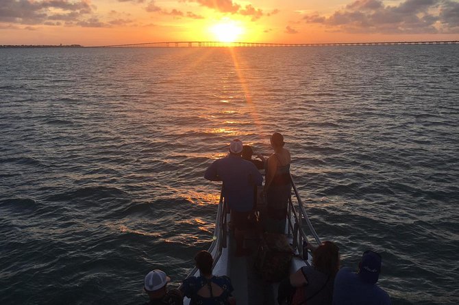 Sunset Dolphin Watch Tour - Quick facts for your South Padre Island cruise