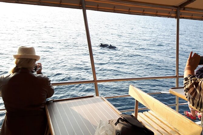 Sunset Dolphin Watching Boat Tour from Vrsar - Price, timing, and practical value