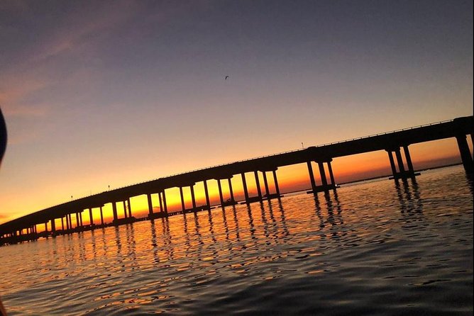 Sunset Dolphin Watching Cruise in Destin Harbor - What Happens at Destin Harbor