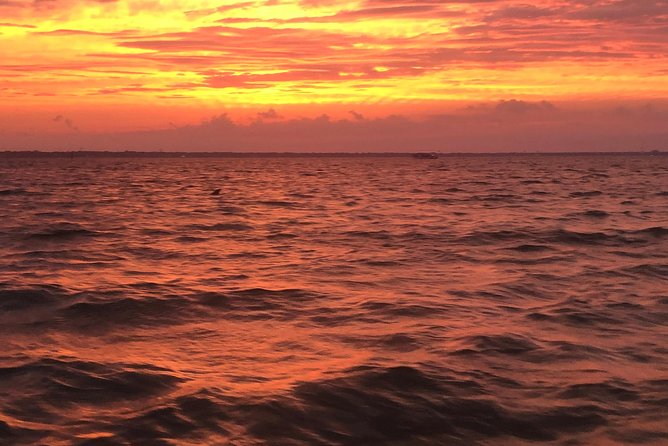 Sunset Dolphin Watching Cruise in Destin Harbor - Is $63.13 a Fair Price?