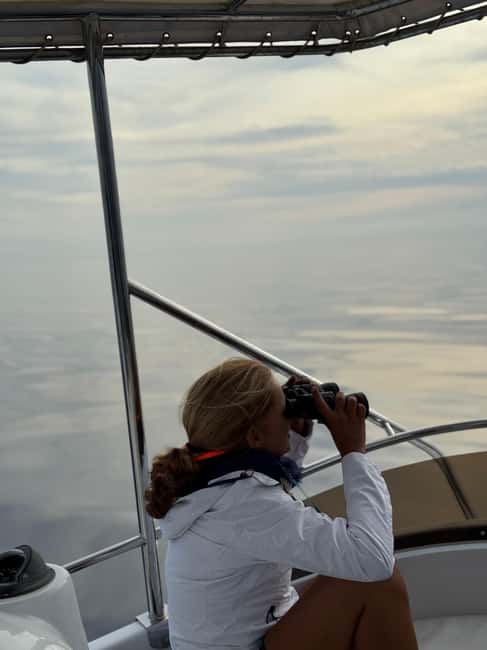 Sunset Dolphin Watching Tour on Hybrid Boat in Small Group - Meeting Víctor and Paula on the water