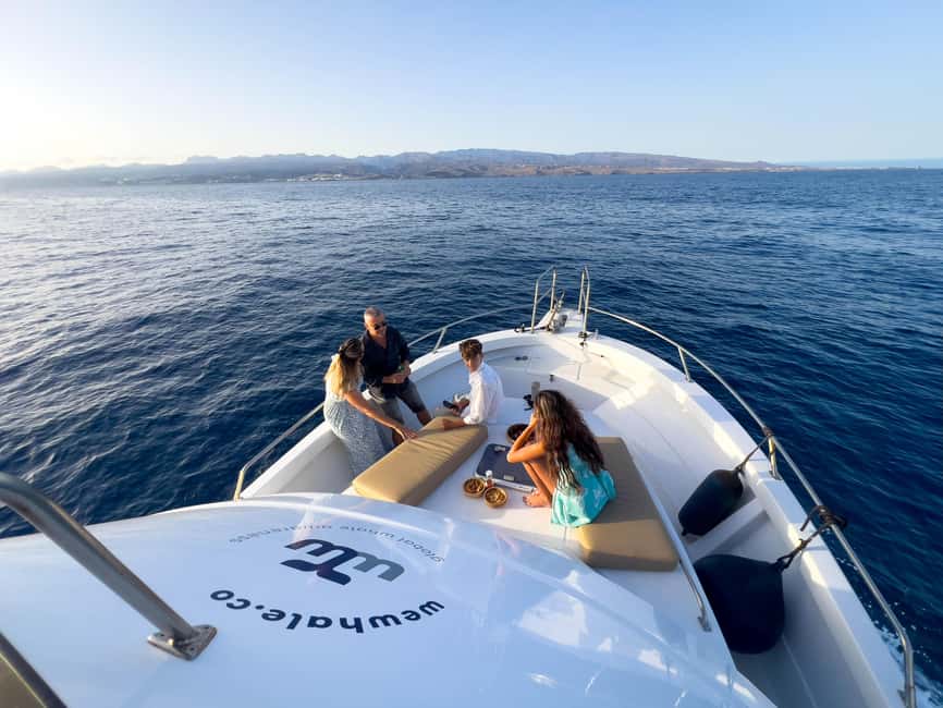 Sunset Dolphin Watching Tour on Hybrid Boat in Small Group - Sea conditions and seasickness