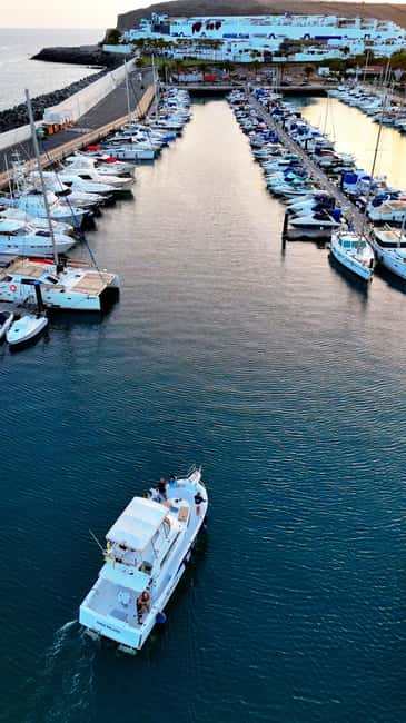 Sunset Dolphin Watching Tour on Hybrid Boat in Small Group - Who will enjoy this outing most