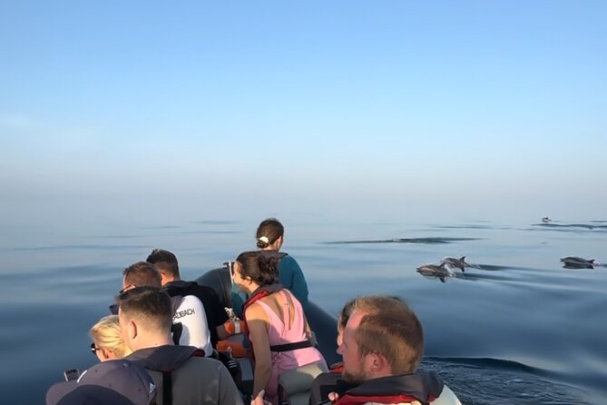 Sunset Dolphin Watching with Marine Biologists - Weather, cancellations, and realistic expectations