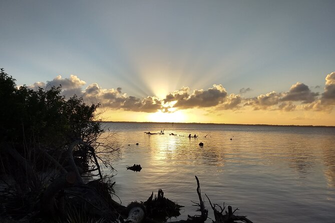 Sunset kayaking tour at Manatee Cove with Manatee & Dolphin sightings - Key points to know before you book