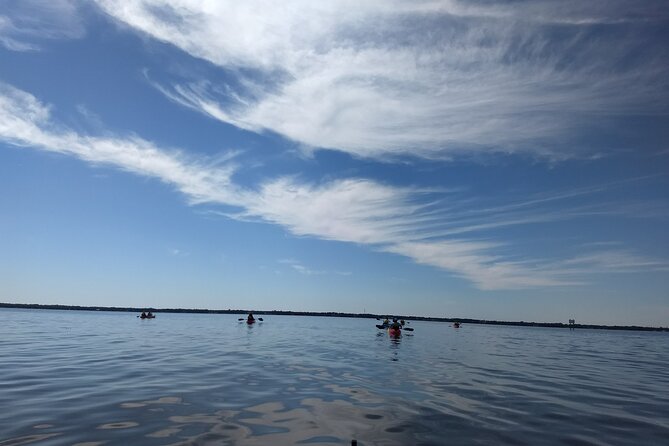 Sunset kayaking tour at Manatee Cove with Manatee & Dolphin sightings - Dolphins, manatees, and realistic wildlife expectations