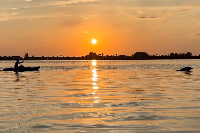 Sunset Kayaking with Dolphins - Key points to know before you book