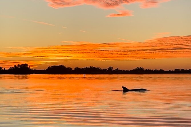 Sunset Kayaking with Dolphins - What paddling a tandem kayak feels like