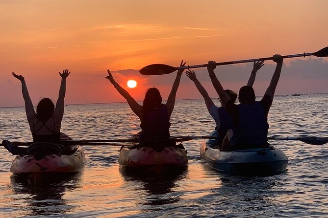 Sunset Kayaking with Dolphins - Mangroves, birds, manatees, and the quieter parts of the trip