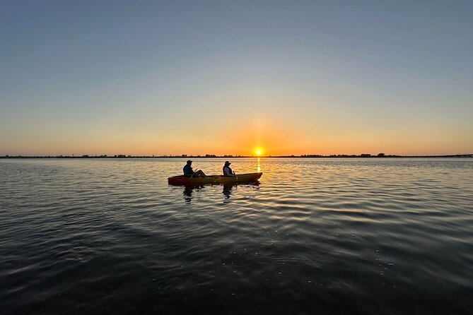 Sunset Kayaking with Dolphins - Is $60 a good value?