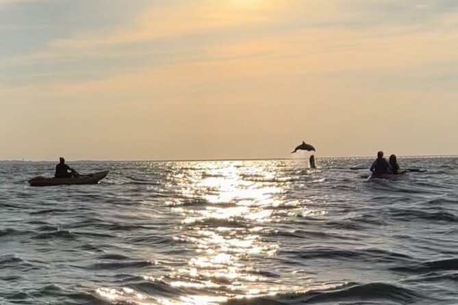 Sunset Kayaking with Dolphins - Who should book this sunset paddle?