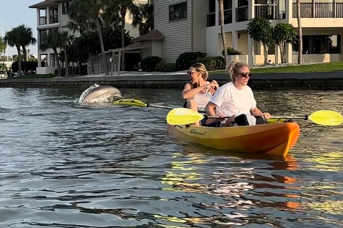 Sunset Kayaking with Dolphins - The two-hour route from 12378 Manatee Avenue West