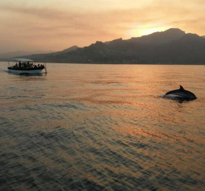 Sunset Tour and Searching Dolphins - What to bring for the swim and sunset