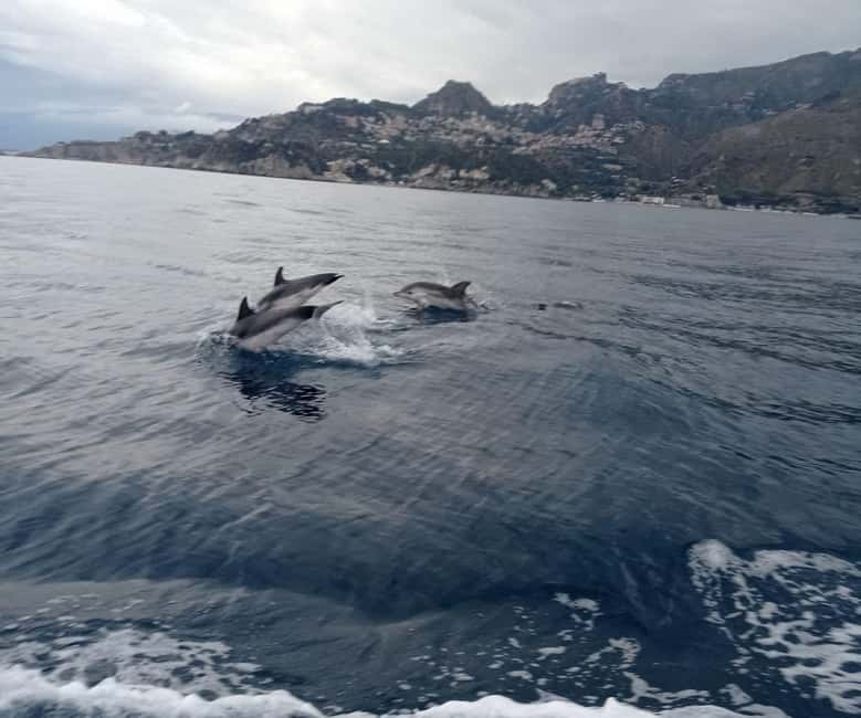 Sunset tour in search of dolphins with aperitif - The swim stop, pizza, arancini, and prosecco