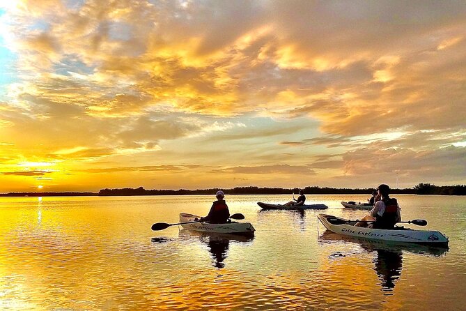 Sunset Tour Mangrove, Dolphins, Manatee #1 Rated in Cocoa Beach - Key points to know before you paddle