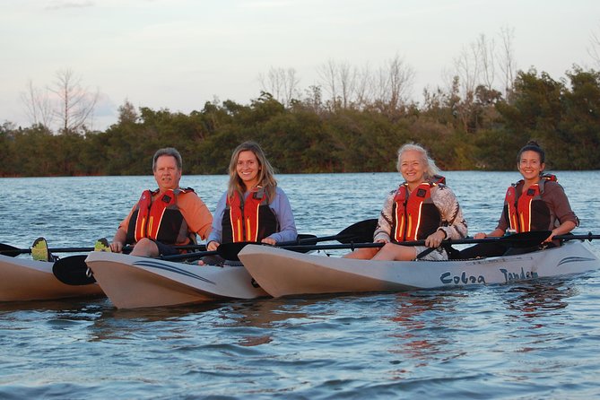 Sunset Tour Mangrove, Dolphins, Manatee #1 Rated in Cocoa Beach - How much value do you get for $60?