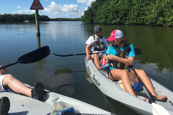 Sunset Tour Mangrove, Dolphins, Manatee #1 Rated in Cocoa Beach - Who will enjoy this most