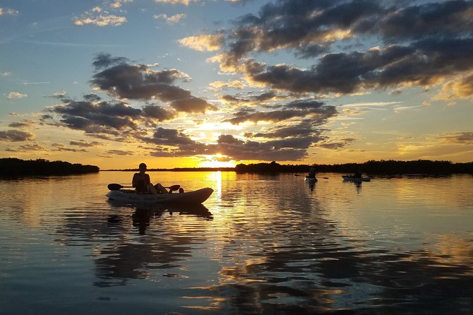 Sunset Tour Mangrove, Dolphins, Manatee #1 Rated in Cocoa Beach - Practical preparation for an evening on the water
