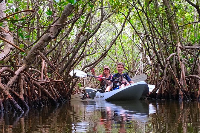 Sunset Tour Mangrove, Dolphins, Manatee #1 Rated in Cocoa Beach - What happens during the two-hour route