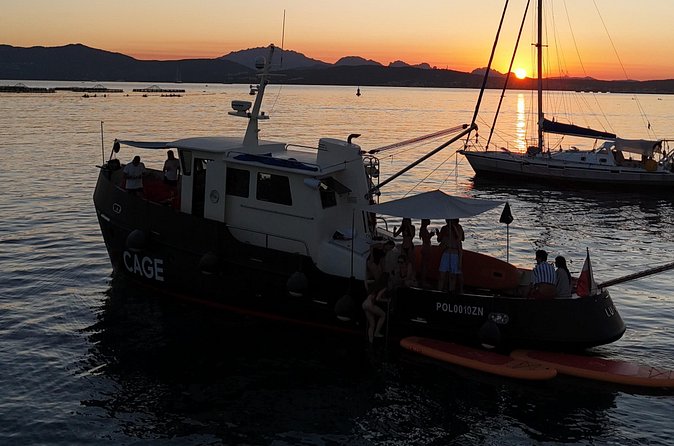 Sunset with dolphins on a vintage tugboat in Golfo Aranci - Is $108.14 a fair price?