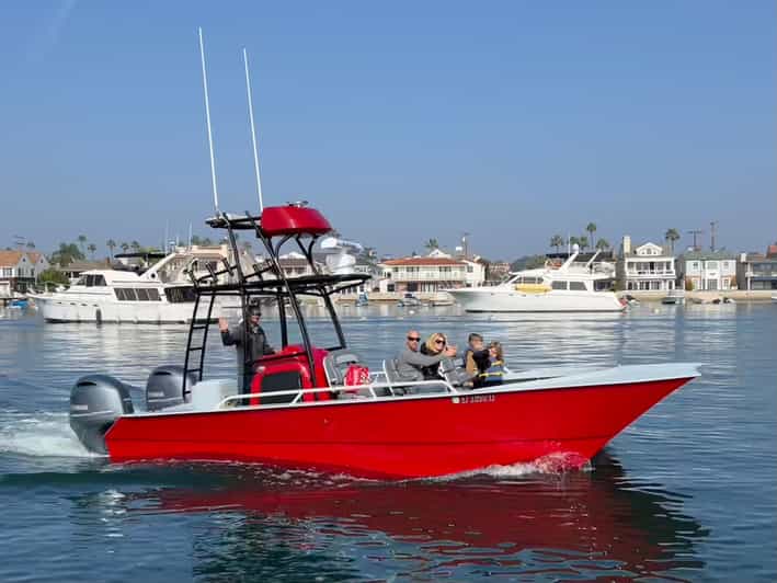 Superior 2hr Private Whale & Dolphin Watching Newport Beach - Who should book this Newport Beach trip?