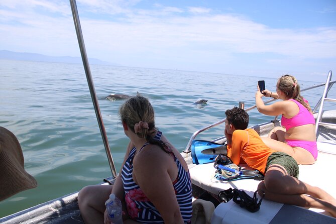 Swim and Paddle Board with Wild Dolphin Pods in Puerto Vallarta - Snorkeling depends on dolphin behavior