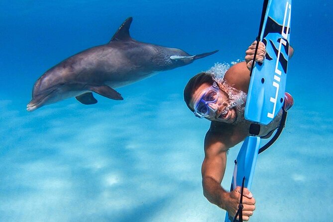 Swim with dolphin By Private Speed Boat and Sub wing Game - Hurghada - The five-minute sub-wing game